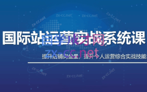 白老师·国际站运营实战系统(高质量询盘增长课)(更新)-宝藏屋创业网