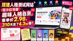 搭建人格测试网站在小红书做趣味人格自测，客单价2.98，310天卖了4.3w单！-宝藏屋创业网
