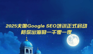 夫唯Google SEO培训课程(更新)-宝藏屋创业网