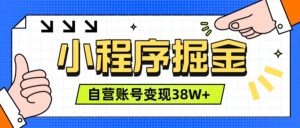 微信小程序掘金，团队自营小程序累计变现38W+，稳定运营三年，一部手机即可操作-宝藏屋创业网