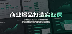 商业爆品打造实战课:拆解各行各业头部品牌案例,吃透爆款底层逻辑落地运营教程-宝藏屋创业网