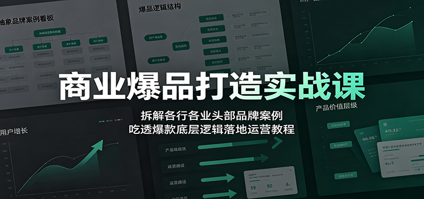 商业爆品打造实战课：拆解各行各业头部品牌案例，吃透爆款底层逻辑落地运营教程-宝藏屋创业网