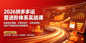 2026拼多多运营进阶体系实战课|新版拖价稳量、付费转投产、自然流矩阵、高投产链接起店全链路教程-宝藏屋创业网