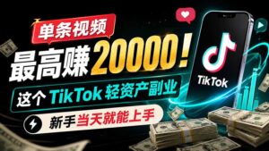 单条视频最高赚 20000!这个 TikTok 轻资产副业,新手当天就能上手-宝藏屋创业网