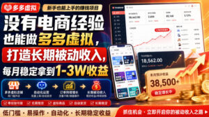 没有电商经验也能做多多虚拟,打造长期被动收入,每月稳定拿到1-3W收益【揭秘】-宝藏屋创业网