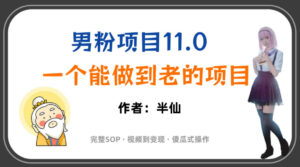 全网独家男粉项目11.0,一个做到老的项目,完整SOP·视频到变现·傻瓜式操作-宝藏屋创业网
