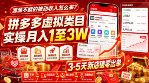 源源不断的被动收入怎么来?拼多多虚拟类目实操月入1至3W,3-5天新店破零出单-宝藏屋创业网