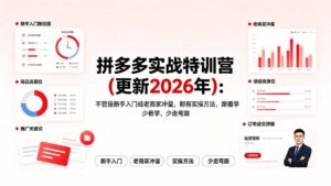 拼多多实战特训营(更新2026年-宝藏屋创业网