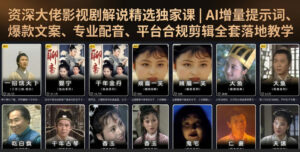 资深大佬影视剧解说精选独家课｜AI增量提示词、爆款文案、专业配音、平台合规剪辑全套落地教学-宝藏屋创业网