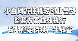 小白网游挂G轻创业思路，整套闭环操作方案直接执行，不用久坐屏幕前持续产生收益，每天单机1k+【揭秘】-宝藏屋创业网