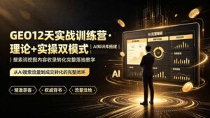 GEO12天实战训练营·理论+实操双模式|AI知识库搭建|搜索词挖掘内容收录转化完整落地教学-宝藏屋创业网