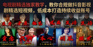 电视剧精选独家教学,教你合规做抖音影视剧精选短视频,低成本打造持续收益账号-宝藏屋创业网