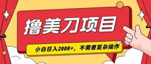 撸美刀，单日收入2000+，小白可做-宝藏屋创业网