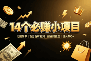 （19267期）14 个必赚小项目，无脑简单，百分百有利润，副业的首选，日入 400+-宝藏屋创业网