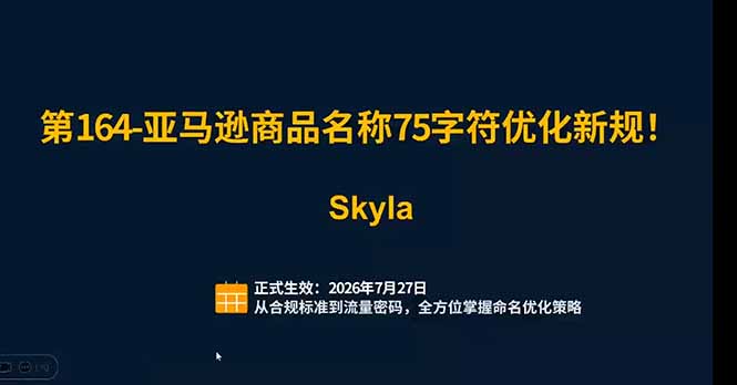图片[2]-亚马逊跨境实战课：全品类选品逻辑｜SP/SB/SD广告精细化｜新品打爆旺季爆单全套运营教程-宝藏屋创业网