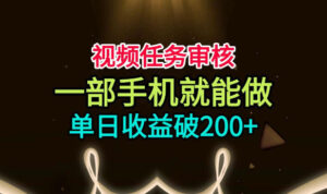 视频任务审核,一部手机就能做,简单上手,单日收益破200+【揭秘】-宝藏屋创业网