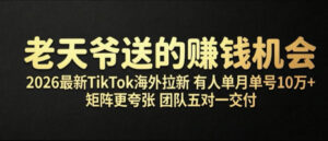 老天爷送的賺钱机会!2026最新TikTok海外拉新,有人单月单号10W+,矩阵更夸张,团队交付【揭秘】-宝藏屋创业网