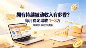 拥有持续被动收入有多香？做拼多多虚拟类目，每月稳定增收 1-3 万-宝藏屋创业网