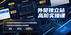 外贸独立站高阶实操课|从域名服务器搭建到Elementor定制化建站,打造高转化询盘型独立站全教程-宝藏屋创业网