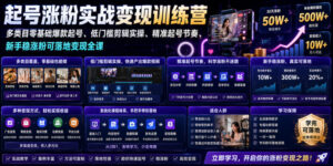 苗子起号涨粉实战变现训练营,多类目零基础爆款起号、精准起号节奏、新手稳涨粉可落地变现全课(更新0719)-宝藏屋创业网