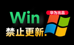 Win10/11系统永久禁止更新!华为出品小工具,避免频繁更新Win系统出问题,电脑必备工具Win系统禁止更新-宝藏屋创业网