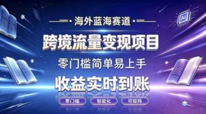 海外蓝海赛道 跨境流量变现项目 收益实时到账 零门槛简单易上手-宝藏屋创业网