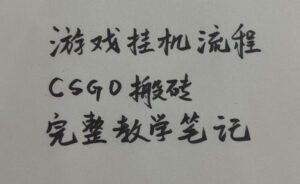 游戏挂G全流程笔记分享,CSGO游戏搬砖,小白看了当天学会见收益【揭秘】-宝藏屋创业网