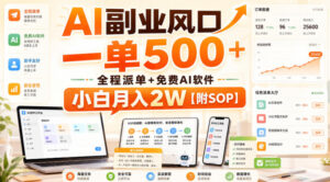 AI副业风口,一单500+,全程派单+免费AI软件,小白月入2W【附SOP】【揭秘】-宝藏屋创业网