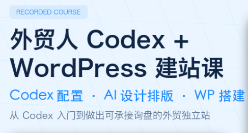大卫·外贸人Codex + WordPress建站课(更新8月)-宝藏屋创业网