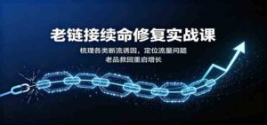 老链接续命修复实战课:梳理各类断流诱因,定位流量问题,老品救回重启增长-宝藏屋创业网