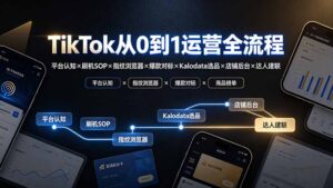 TikTok从0到1运营全流程-更新:平台认知×刷机SOP×指纹浏览器×爆款对标×Kalodata选品×店铺后台×达人建联-宝藏屋创业网