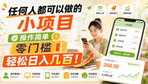 任何人都可以做的小项目:操作简单,零门槛轻松日入几百!【揭秘】-宝藏屋创业网