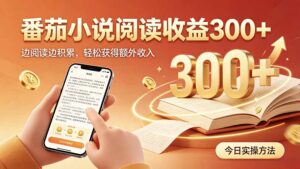 全自动番茄挂机玩法，日入300+，操作门槛低，一台电脑即可开展-宝藏屋创业网