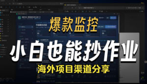 抖音爆款数据监控工具_海外网盘拉新渠道-宝藏屋创业网