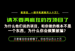 为什么做项目的人大多都是炮灰？为什么只有卖项目才能稳？看完你也可以月入10W+【揭秘】-宝藏屋创业网