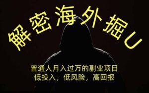 解密海外掘U，普通人月入过万的副业项目，低投入、低风险高回报，没有之一-宝藏屋创业网
