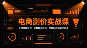 电商测价实战课:价格分层测试,流量转化研判,找到利润销量平衡点-宝藏屋创业网