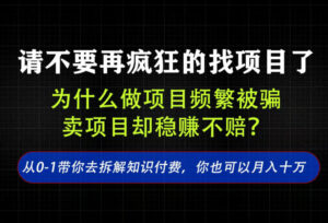 找项目？别傻了！卖项目才是真的一本万利！看完你全都懂了【揭秘】-宝藏屋创业网