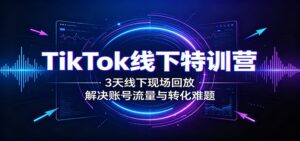 TikTok线下特训营：3天线下现场回放，解决账号流量与转化难题-宝藏屋创业网