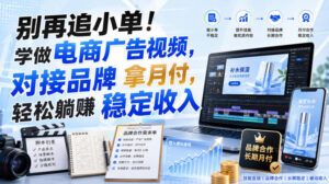 别再追小单!学做电商广告视频,对接品牌拿月付,轻松躺賺稳定收入【原创双语字幕】-宝藏屋创业网
