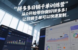 拼多多日销千单训练营,从0开始带你做好拼多多,让日销千单可以快速复制(更新26年8月)-宝藏屋创业网