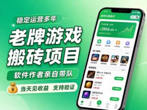 (20100期)老牌游戏搬砖项目,超稳定可靠,软件作者亲自带队,当天见收益,支持验证-宝藏屋创业网