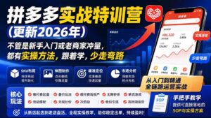 (20158期)拼多多实战特训营(更新26年0831):不管是新手入门或老商家冲量,都有实操方法,跟着学,少走弯路-宝藏屋创业网