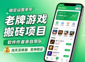 老牌游戏搬砖项目,超稳定可靠,软件作者亲自带队,当天见收益,支持验证【揭秘】-宝藏屋创业网