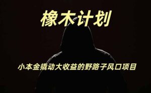 橡木计划，小投入撬动高回报的风口野路子项目，一天投入2小时左右-宝藏屋创业网