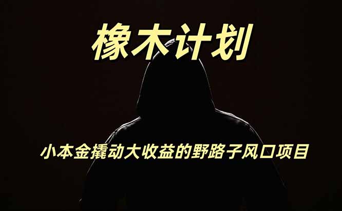 橡木计划，小投入撬动高回报的风口野路子项目，一天投入2小时左右-宝藏屋创业网