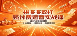 拼多多双打强付费运营实战课:成本托管双计划搭配,分阶段起量,单品裂变实操-宝藏屋创业网