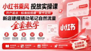 小红书乘风投放-100分钟实操课|开户返点·标准投搭建·莱卡定向,新店建模撬动笔记自然流量全套教学-宝藏屋创业网