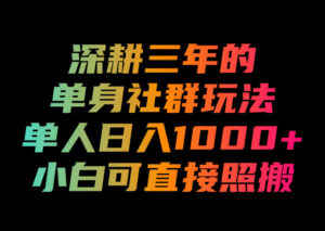 深耕三年的单身社群玩法，单人日入1000+，小白可直接照搬！【揭秘】-宝藏屋创业网
