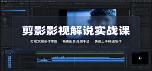 剪影影视解说实战课:打磨文案创作思路,熟练配音处理手法,快速上手解说制作-宝藏屋创业网